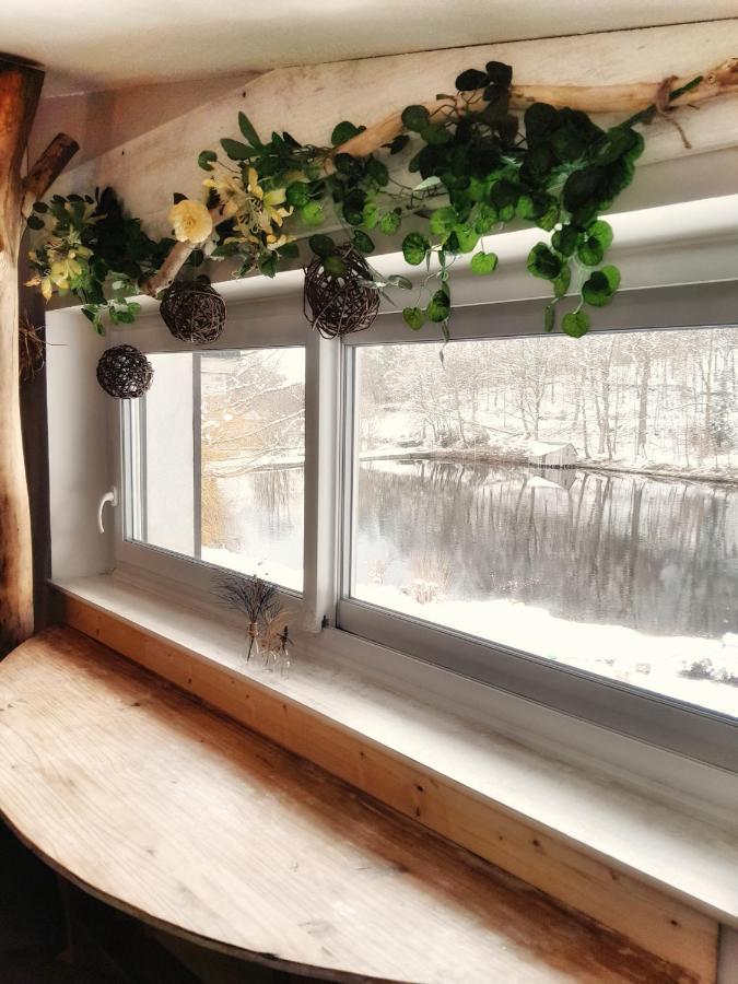 Appartement le Crusoé à l'étang d'Anty Saint-Nabord Extérieur photo